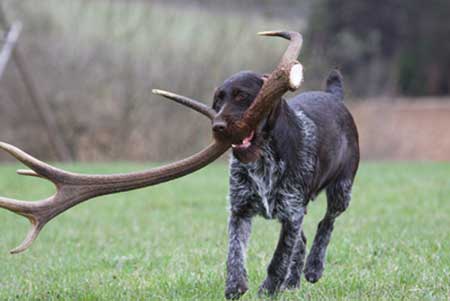 Aika vom Jura-Grund 3